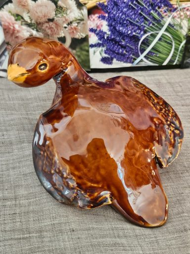 Brunskimrande fågel, 300 kr